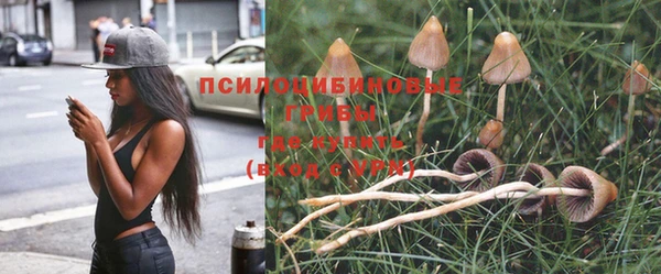 соль курить ск Каменка