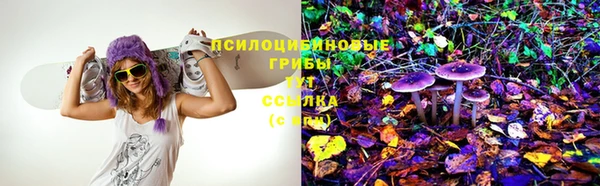 соль курить ск Каменка