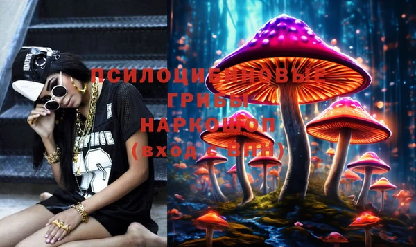 первитин Каменногорск