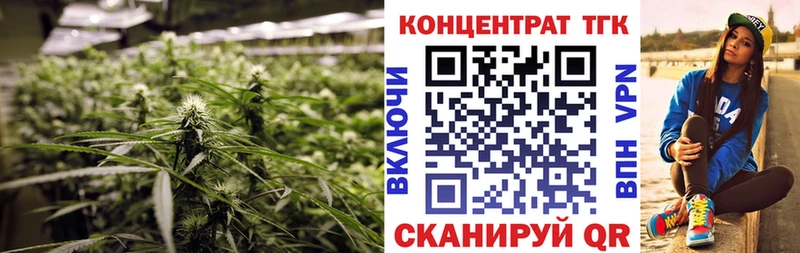 Купить закладки  Жуковский  ТГК THC oil 