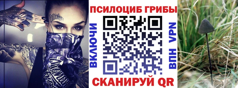 Купить закладки  Жуковский  Галлюциногенные грибы Psilocybe 